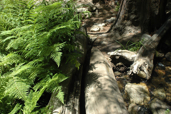 Soberanes Canyon 090.jpg